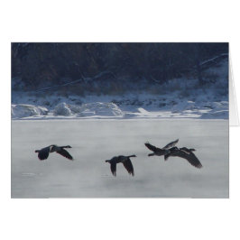 B48カナディアンゲーゼ凍ってい川