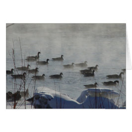 B49カナディアンゲーゼ凍っていオンリバー