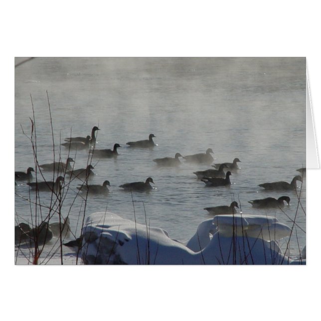 B49カナディアンゲーゼ凍っていオンリバー (正面横)