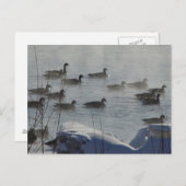 B49カナディアンゲーゼ凍っていオンリバー ポストカード (正面/裏面)