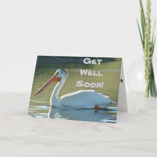 B4 ホワイトペリカン カード (正面)