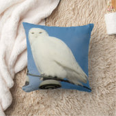B50スノーフクロウ クッション (ブランケット)