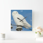 B50スノーフクロウ スクエア壁時計 (ホーム)