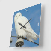 B50スノーフクロウ スクエア壁時計 (傾斜)