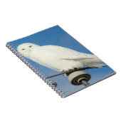 B50スノーフクロウ ノートブック (右側)