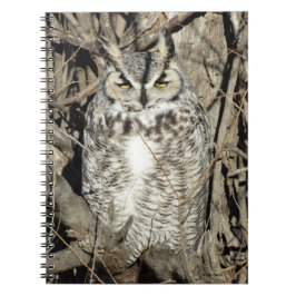 B51角素晴らしフクロウ ノートブック