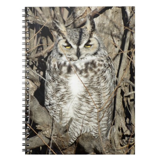 B51角素晴らしフクロウ ノートブック (正面)