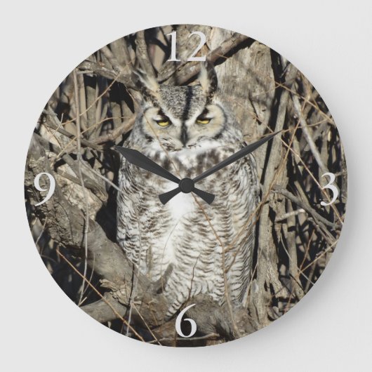 B51角素晴らしフクロウ ラージ壁時計 (正面)