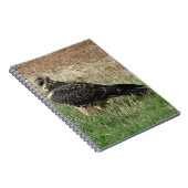 B52スワインソンの鷹 ノートブック (右側)