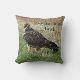 B52スワインソンズホーク クッション