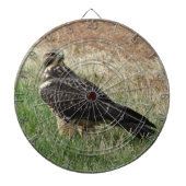 B52スワインソンズホーク ダーツボード (正面)