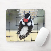 B53ウッドペッカー マウスパッド (マウス)