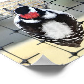 B53ダウンウッドペッカー ポスター (角)