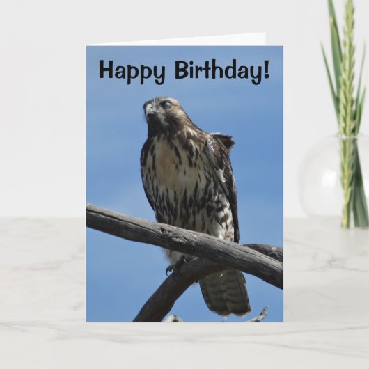 B54スワインソンのタカ カード (正面)