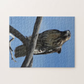 B54スワインソンズホーク ジグソーパズル (横)