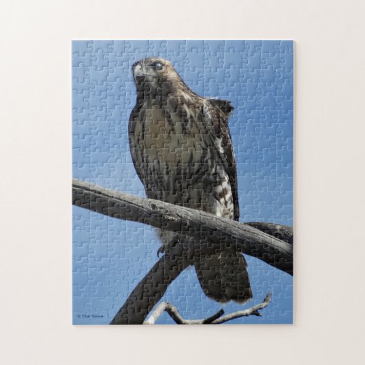 B54スワインソンズホーク ジグソーパズル (縦)