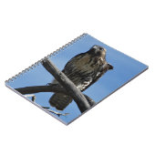 B54スワインソンズホーク ノートブック (左側)