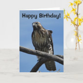 B54 スウェインソンハイカー カード (黄色い花)