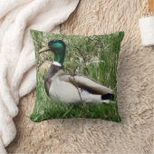 B55マラルダックドラクグリーンヘッドの芝生 クッション (ブランケット)