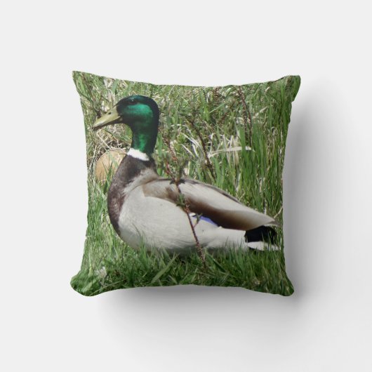 B55マラルダックドラクグリーンヘッドの芝生 クッション (正面)