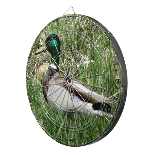 B55マラルダックドラクグリーンヘッドの芝生 ダーツボード (正面右)