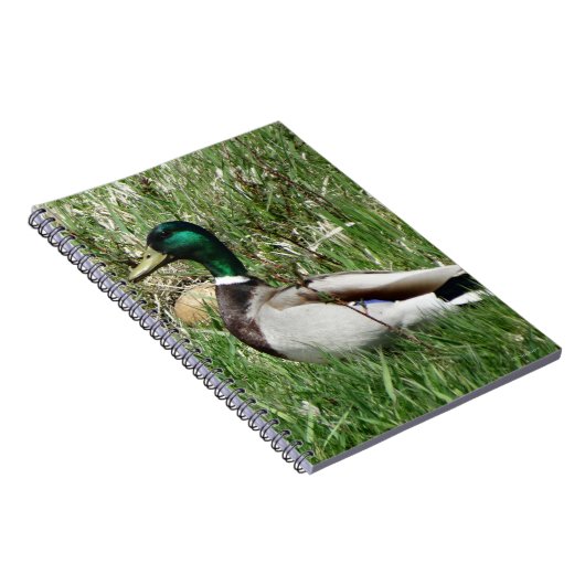 B55マラルダックドラクグリーンヘッドの芝生 ノートブック (右側)