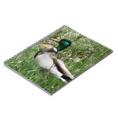 B55マラルダックドラクグリーンヘッドの芝生 ノートブック (左側)