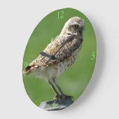 B56穴掘りフクロウ ラージ壁時計 (傾斜)