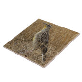 B57 Western Meadowlark タイル (側面)