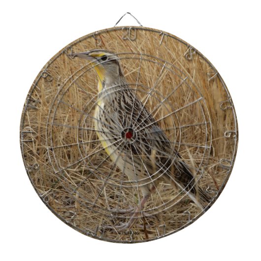 B57 Western Meadowlark ダーツボード (正面)