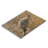 B57 Western Meadowlark ノートブック (左側)