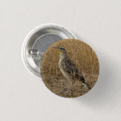 B57 Western Meadowlark 缶バッジ (正面&裏面)