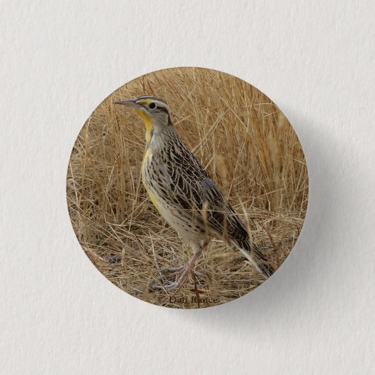 B57 Western Meadowlark 缶バッジ (正面)