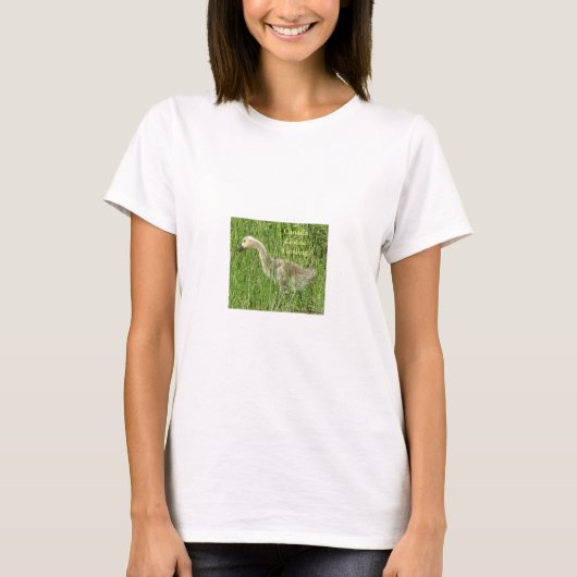B58 カナダガチョウの幼鳥 Tシャツ (正面)