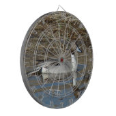 B5 ピンテールアヒルの雄 ダーツボード (正面左)