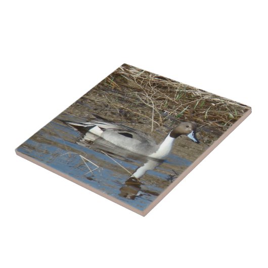 B5 Pintailのアヒルドレーク タイル (側面)