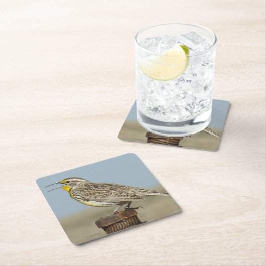 B6ウエスタンメドウラルク スクエアペーパーコースター (インサイチュ)