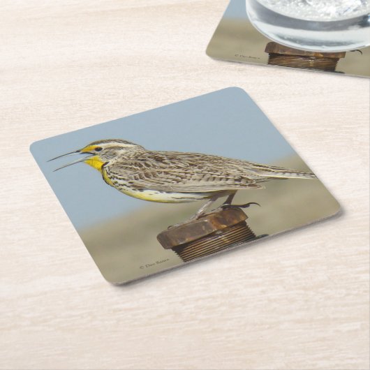 B6ウエスタンメドウラルク スクエアペーパーコースター (アングル)