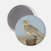 B6メドウラルク マグネット (正面/裏面)