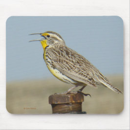 B6西部のMeadowlark マウスパッド