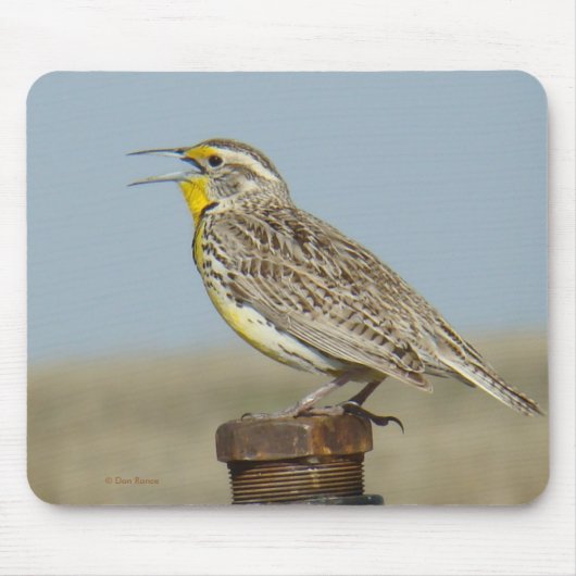 B6西部のMeadowlark マウスパッド (正面)