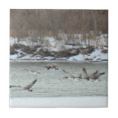 B7カナダ航空 タイル (正面)