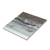 B7カナダ航空 タイル (側面)