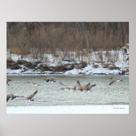 B7カナダ航空 ポスター