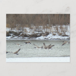 B7カナダ航空 ポストカード