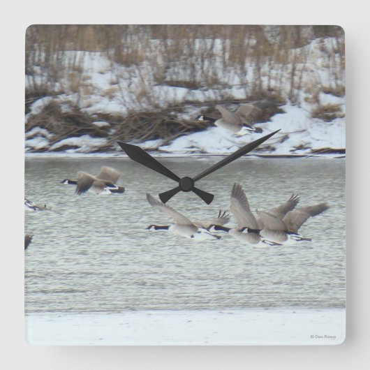 B7カナディアンゲーゼ スクエア壁時計 (正面)