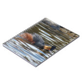 B8エイドグレブコーティン ノートブック (左側)