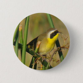 B9一般的イエロースロート 缶バッジ