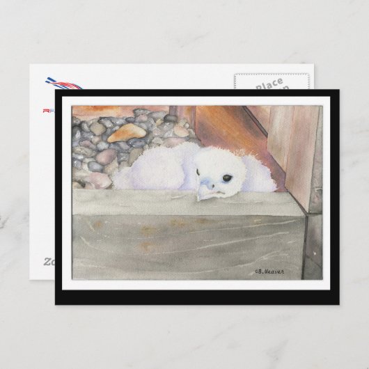 B.ウィーバーオリオンデザインはがき ポストカード (正面/裏面)