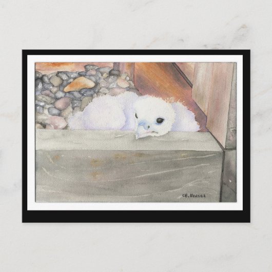 B.ウィーバーオリオンデザインはがき ポストカード (正面)